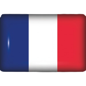 drapeau français pour changer de langue